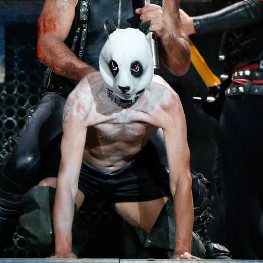 File:FlakePandaMask.png