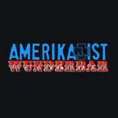 File:merch 478 3.webp