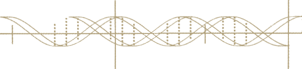 File:MutterHelices.png
