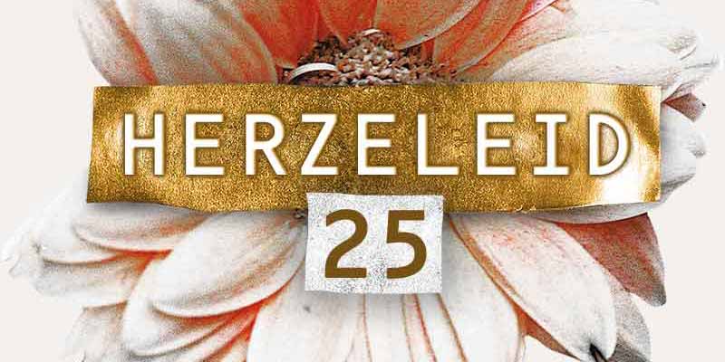File:Herz25-logo-small.jpg