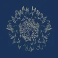 Thumbnail for version as of 09:24, 25 September 2025