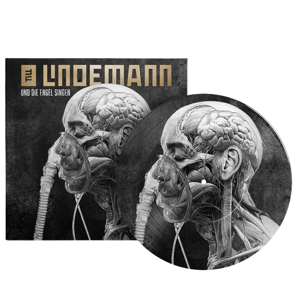 File:UDES picture-vinyl.png