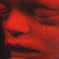 Thumbnail for version as of 06:13, 12 January 2025