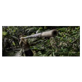 Thumbnail for version as of 21:04, 13 May 2026