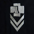 Thumbnail for version as of 23:49, 13 May 2026