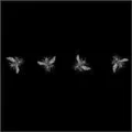 Thumbnail for version as of 23:04, 13 May 2026