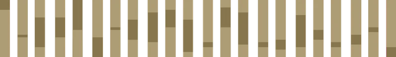 File:ChromosomeMotif.png