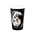 Thumbnail for version as of 23:26, 13 May 2026