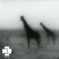Re-edited cover used on XXXIII and the 2026 digital single