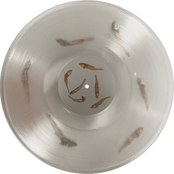 File:Fish On 3-Krakow.png