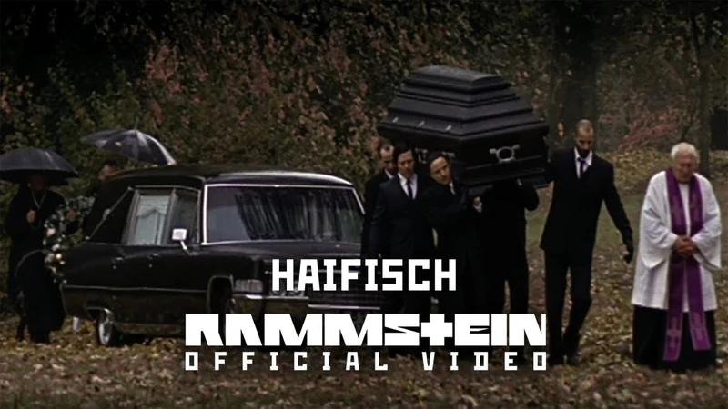File:Haifischvideo.jpg