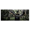 Thumbnail for version as of 21:04, 13 May 2026