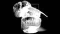 Thumbnail for version as of 05:06, 12 January 2025
