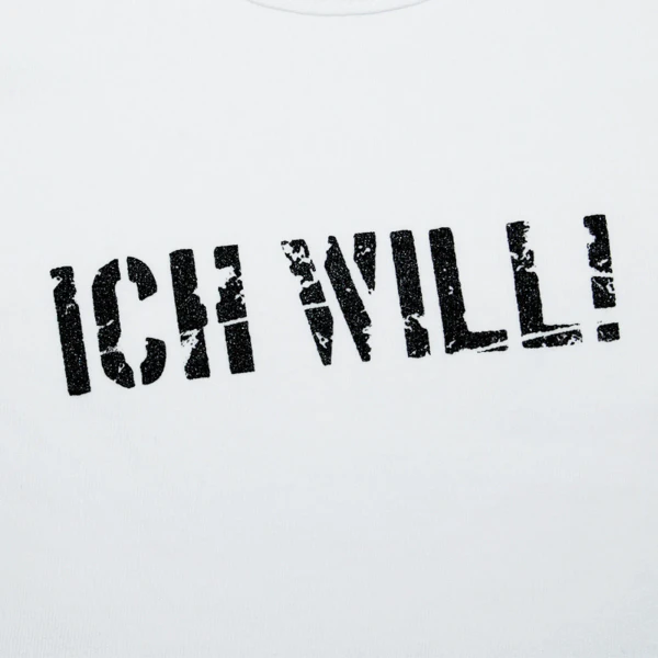 File:merch 1232 4.webp