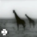 Thumbnail for version as of 11:47, 6 February 2026