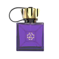 Thumbnail for version as of 23:15, 13 May 2026