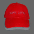 Thumbnail for version as of 23:43, 13 May 2026