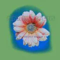Thumbnail for version as of 00:25, 14 May 2026