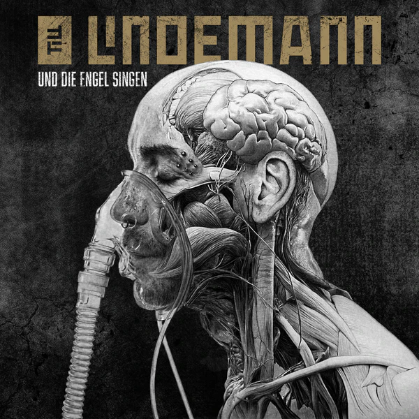 File:UDES cover.jpg