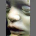 Thumbnail for version as of 22:52, 13 May 2026