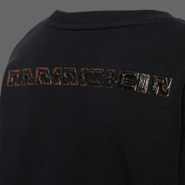 File:merch 2213 3.webp