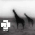 Thumbnail for version as of 21:07, 13 May 2026