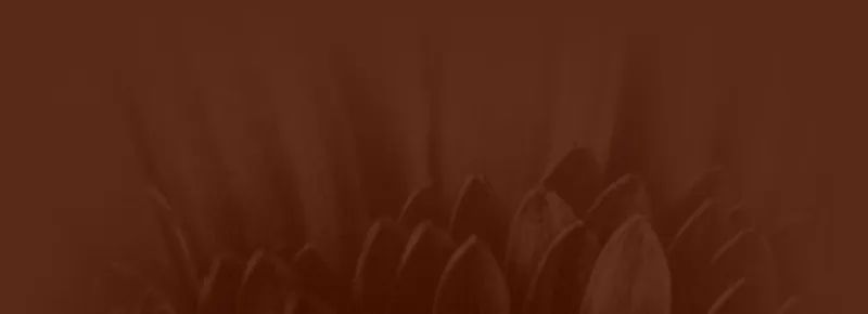 File:Herz25-content-alt-bg.jpg