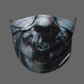 Thumbnail for version as of 21:08, 13 May 2026