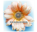 Thumbnail for version as of 02:38, 22 July 2026
