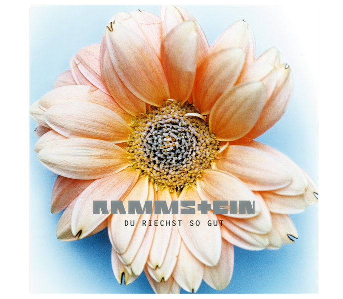 File:Artwork comparison DRSG new.png