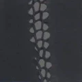 Thumbnail for version as of 23:35, 13 May 2026