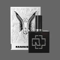 Thumbnail for version as of 06:02, 12 January 2025