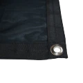 Thumbnail for version as of 23:43, 12 May 2026
