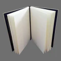 Thumbnail for version as of 20:00, 13 May 2026