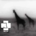 Thumbnail for version as of 20:26, 13 May 2026