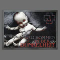 Thumbnail for version as of 20:02, 13 May 2026