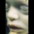 Thumbnail for version as of 22:46, 12 May 2026