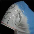 Thumbnail for version as of 20:45, 13 May 2026