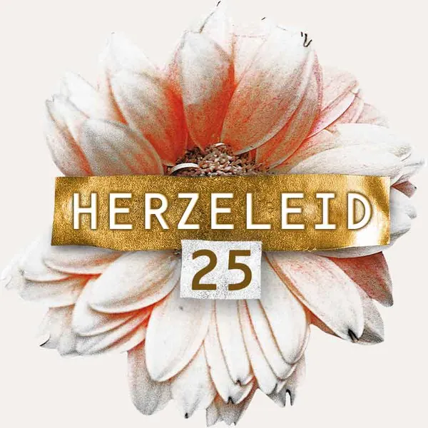 File:Herz25-logo.jpg