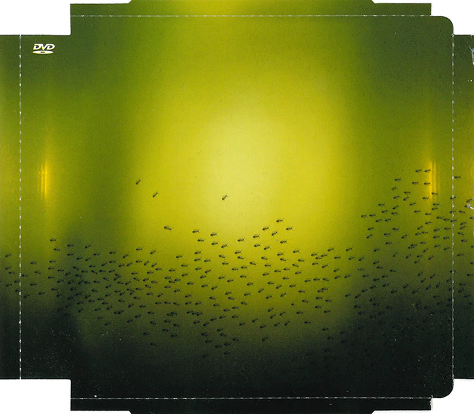 File:Links-DVD-Inlay2.jpg