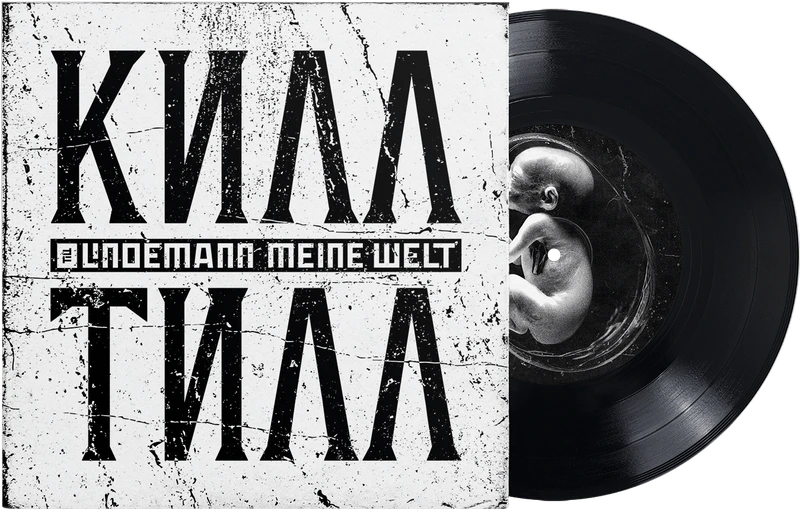 File:MeineWelt 7Vinyl.png