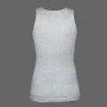 Thumbnail for version as of 23:44, 13 May 2026