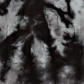 Thumbnail for version as of 23:47, 12 May 2026