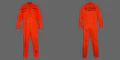 Thumbnail for version as of 04:54, 12 January 2025