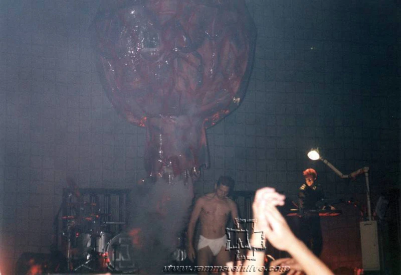 File:Mutteruterus.jpg