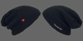 Thumbnail for version as of 04:53, 12 January 2025