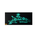 Thumbnail for version as of 23:10, 13 May 2026