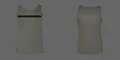 Thumbnail for version as of 05:21, 12 January 2025