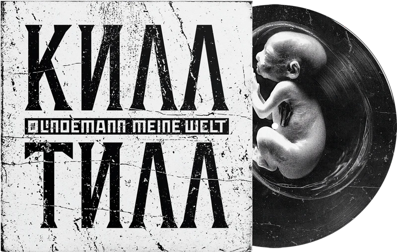 File:MeineWelt 7PictureVinyl.png