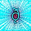 Thumbnail for version as of 05:08, 12 January 2025